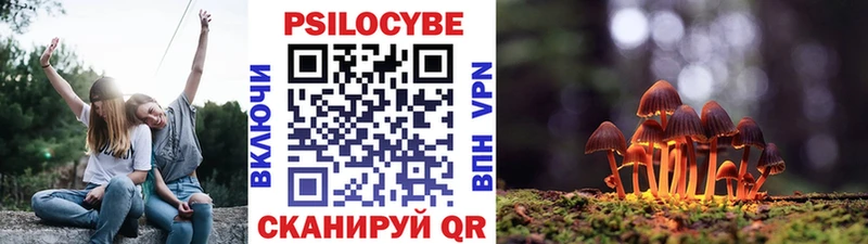 Псилоцибиновые грибы Magic Shrooms  Купить где  Кунгур 